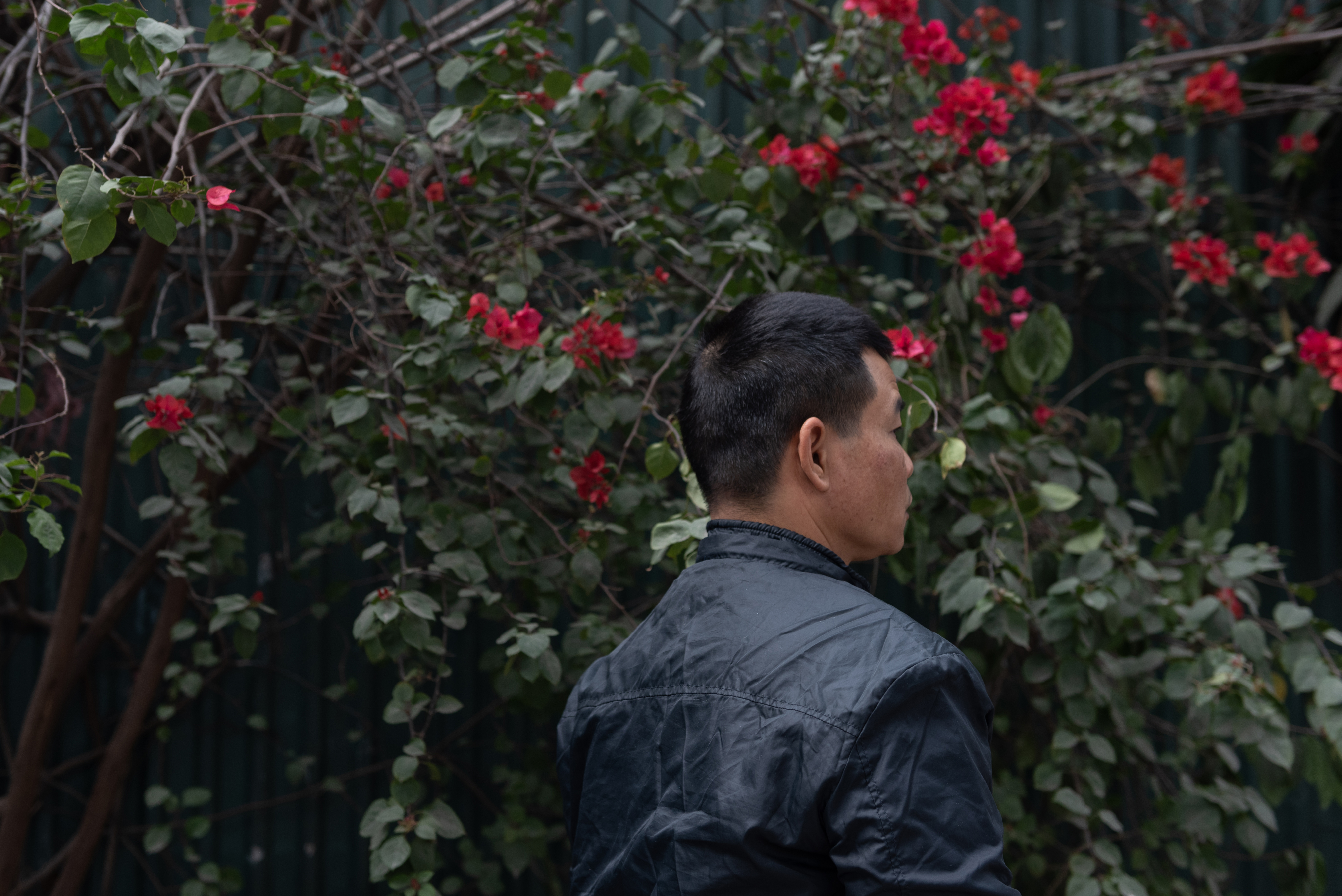 Những người bước ra từ làn khói trắng thuốc phiện